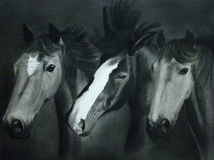 Three horses