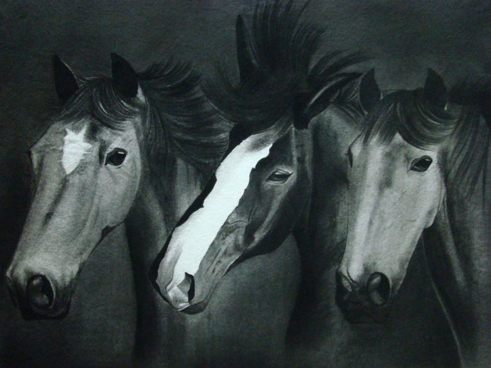 Three horses