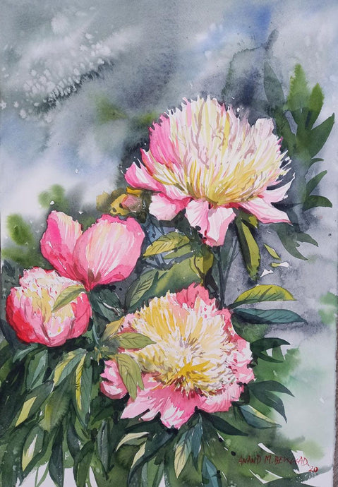 Pink roses