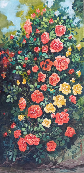 Rose garden