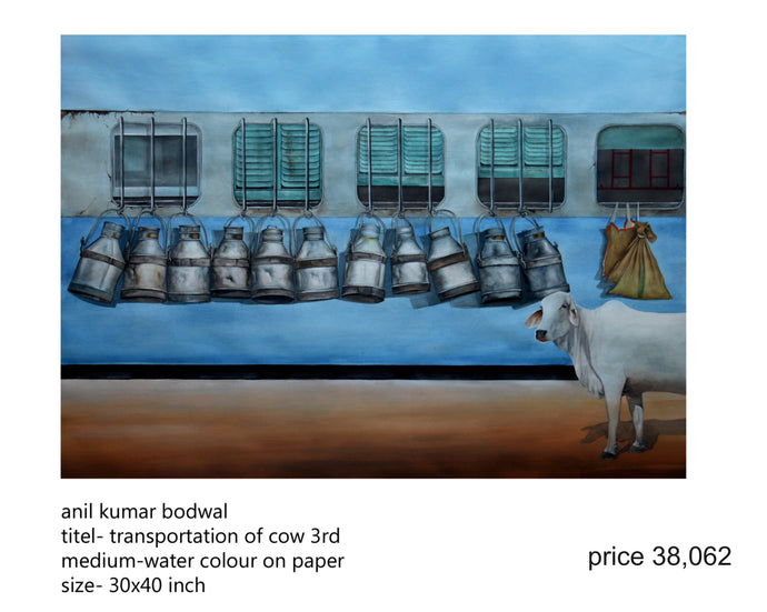 Transportation of cow