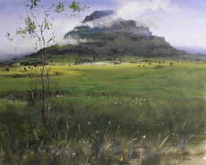 Mountain view