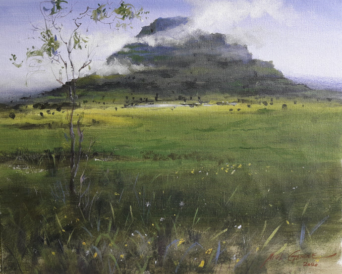 Mountain view