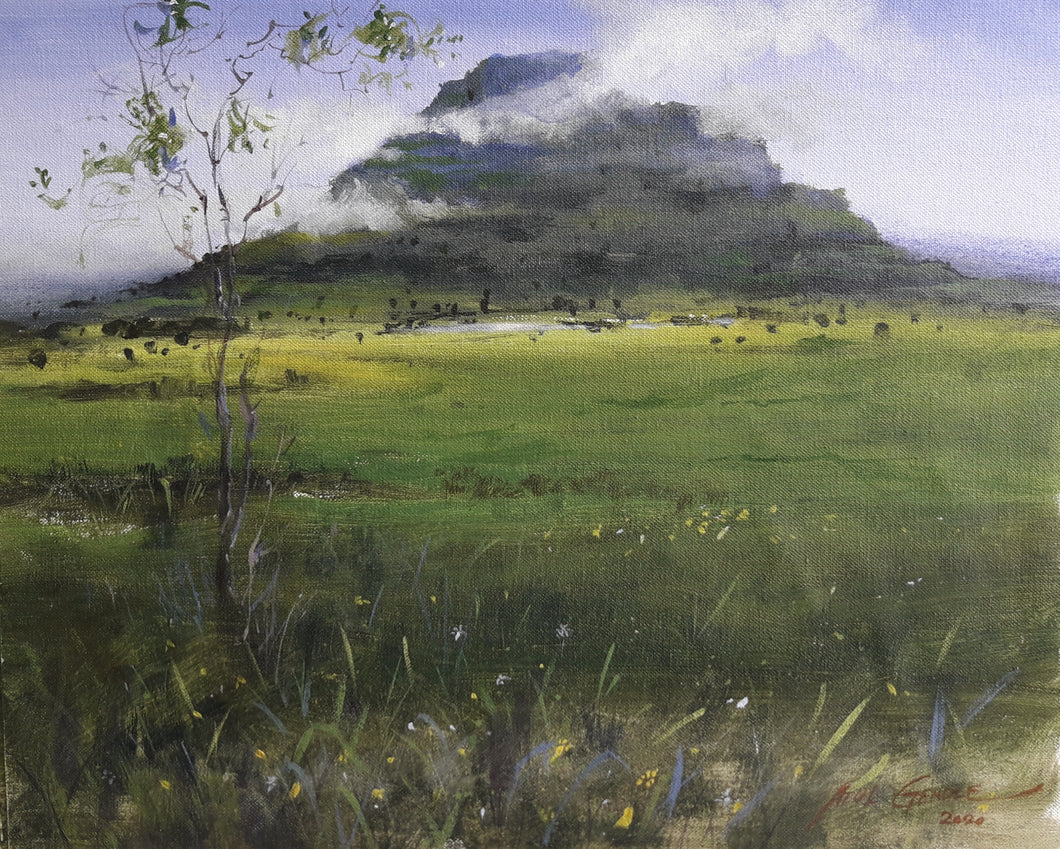 Mountain view