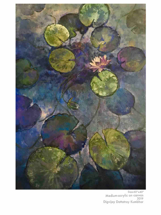 Lotus blooms