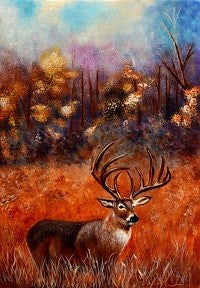 Jinke the Deer