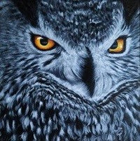 The stubborn owl