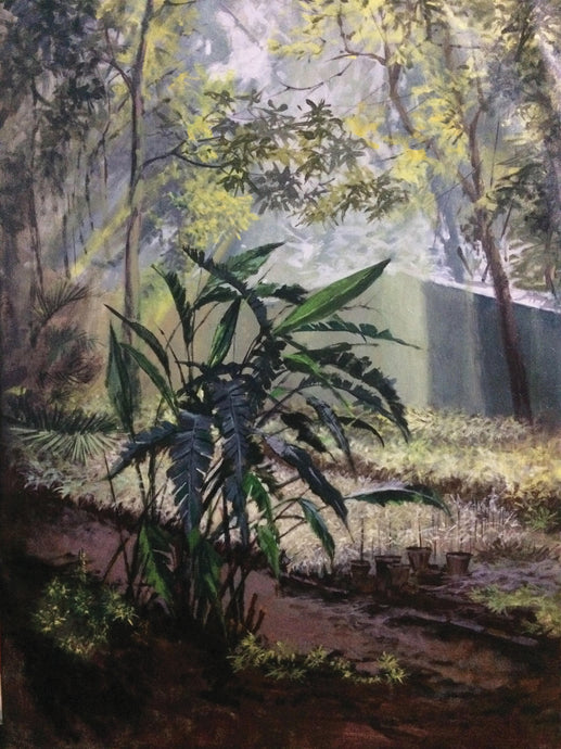 Morning light 3