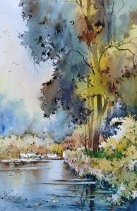 Beauty spot 13