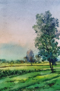 Beauty spot 36