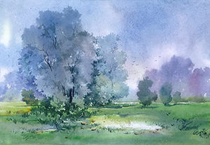 Beauty spot 44