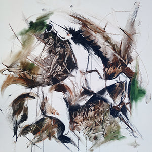 Horses 6