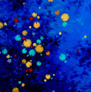 Afloat on midnight skies
