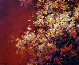 Bougainvillae Profusion