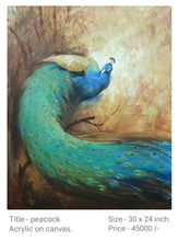 Peacock 1