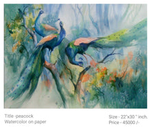 Peacock 2