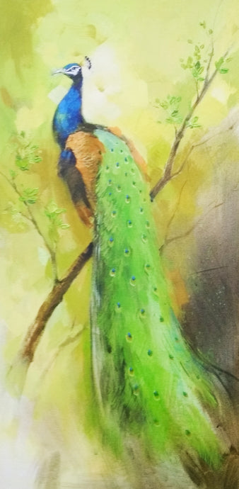 Peacock 3