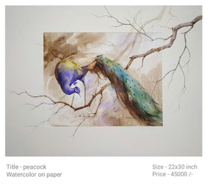 peacock 6