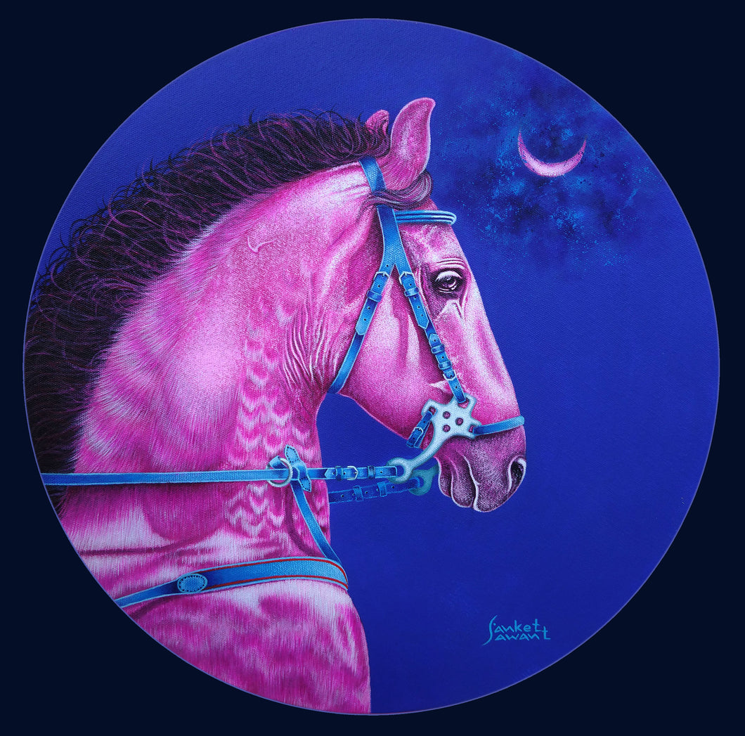 The dream horse
