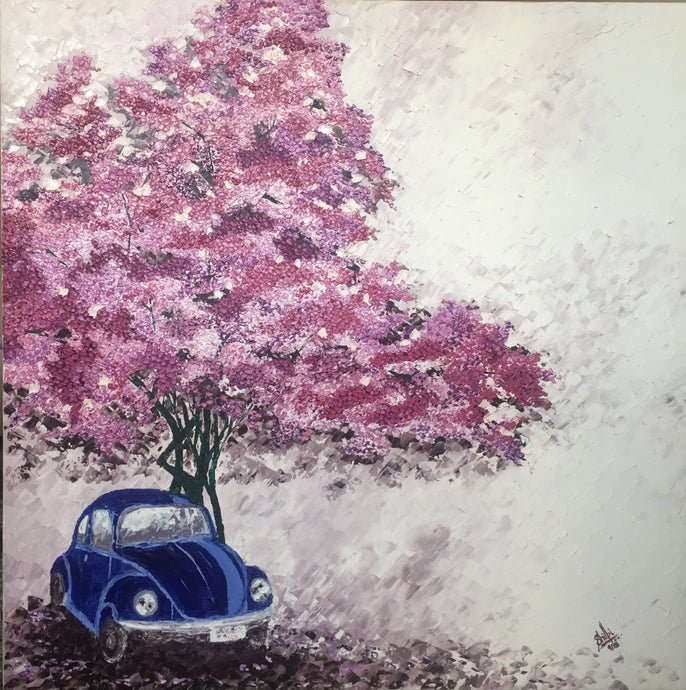Cherry Blossoms