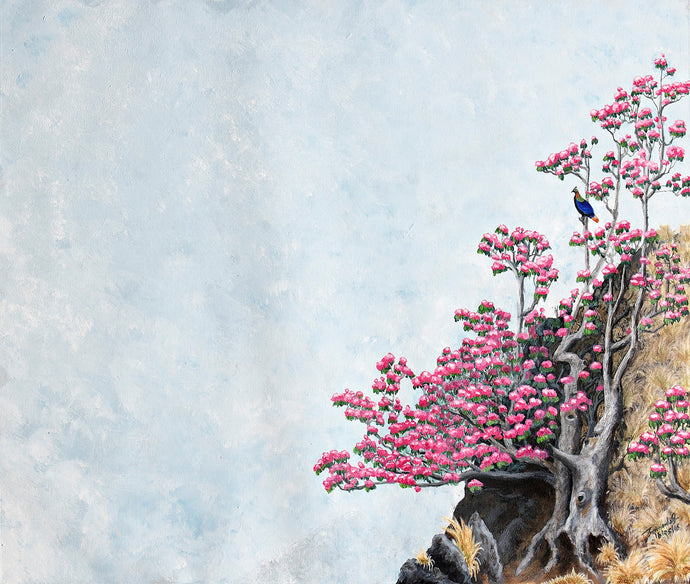 Monal on a Rhododendron