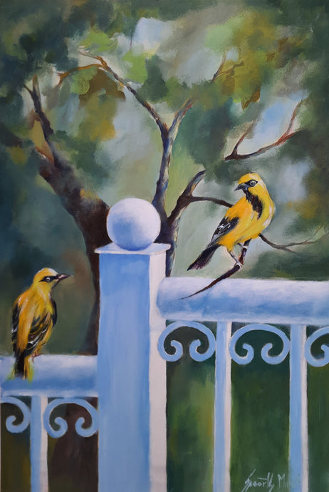 Visitors 4