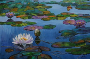 Lily pond 5