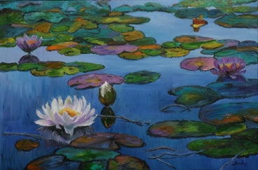 Lily pond 5