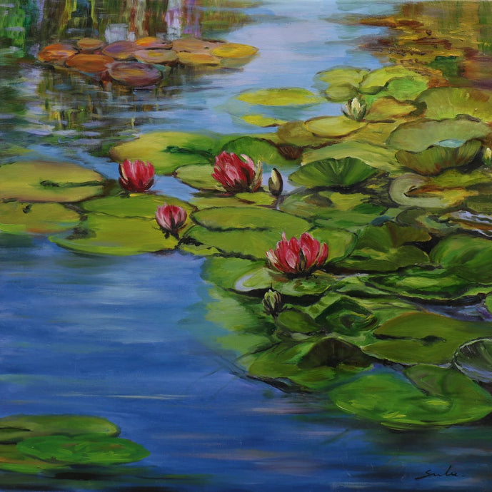 Lily pond 8