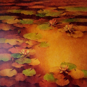 Lotus pond 04