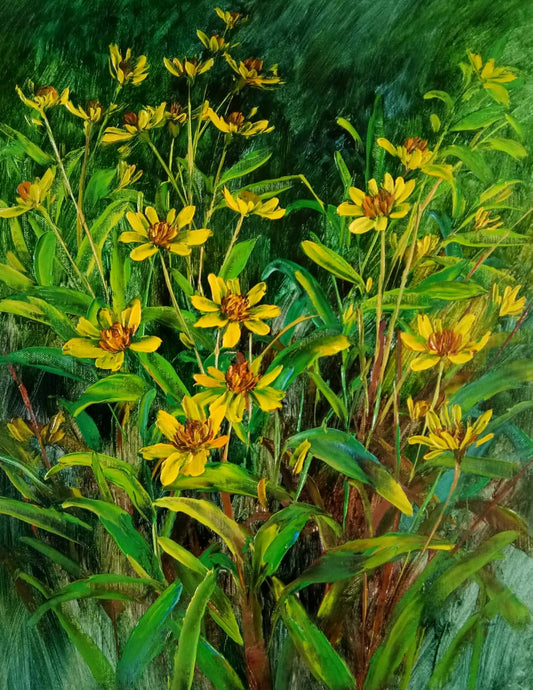 Natures bounty