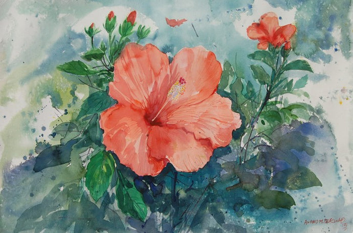 Hibiscus