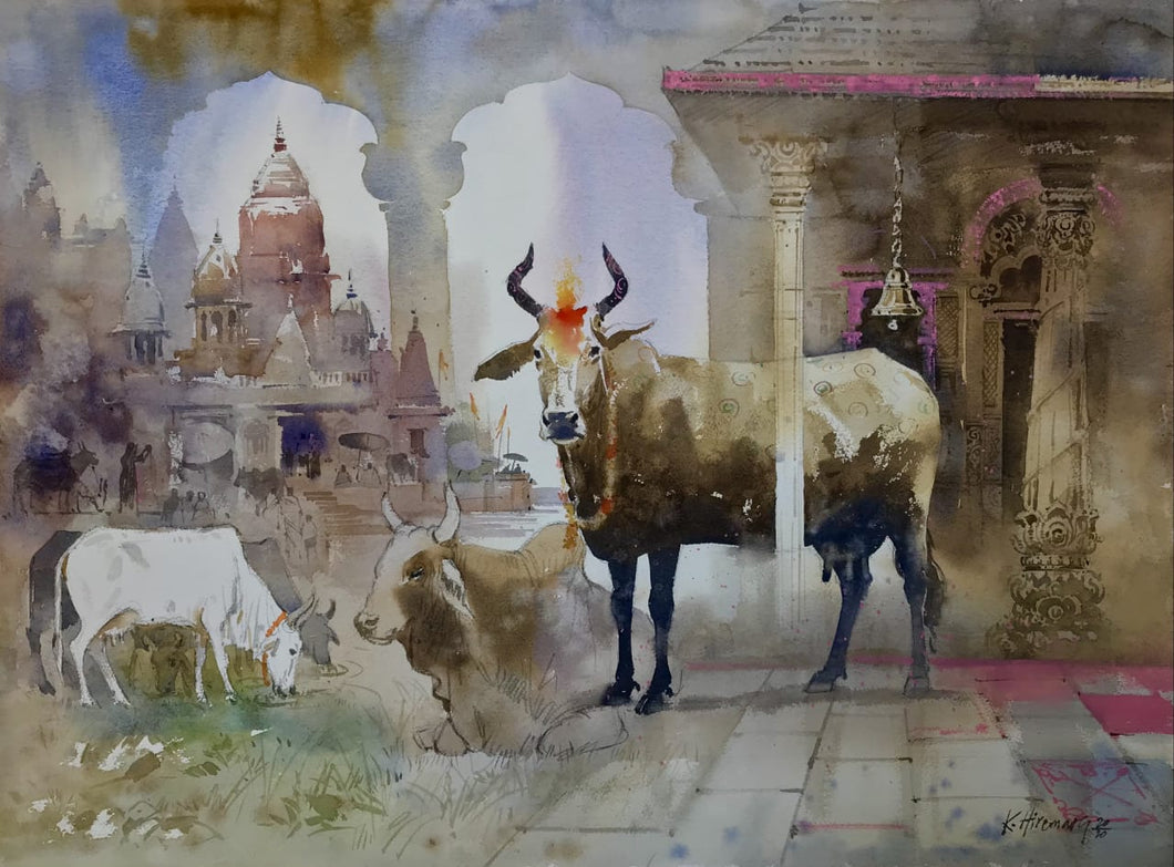 Glimpses of India