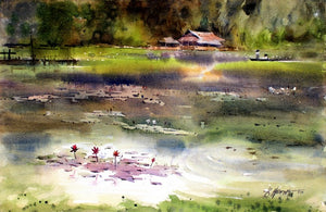 The lotus pond